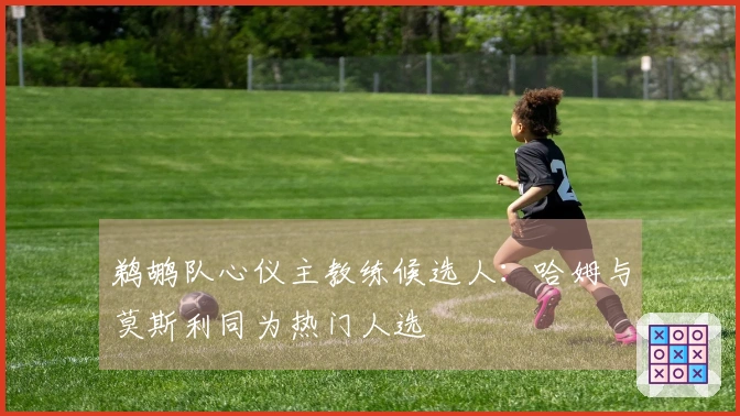 鹈鹕队心仪主教练候选人：哈姆与莫斯利同为热门人选