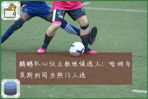 鹈鹕队心仪主教练候选人：哈姆与莫斯利同为热门人选